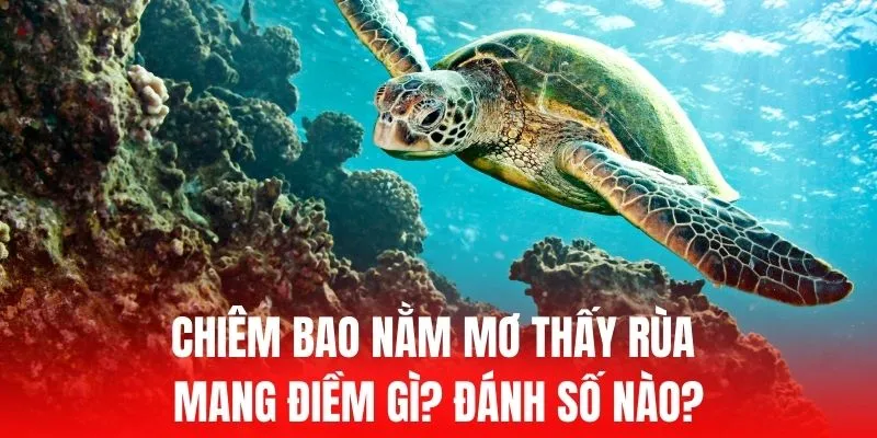 Nạp tiền vào tài khoản Sun52 của bạn để có cơ hội trúng thưởng 50000 RMB bằng thẻ cào - Sun52